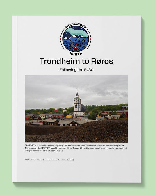 Trondheim to Røros on the Fv30 | The Hidden North Road-trips