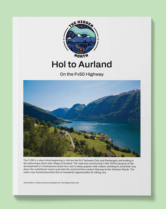Hol to Aurland on the Fv50 | The Hidden North Road-trips